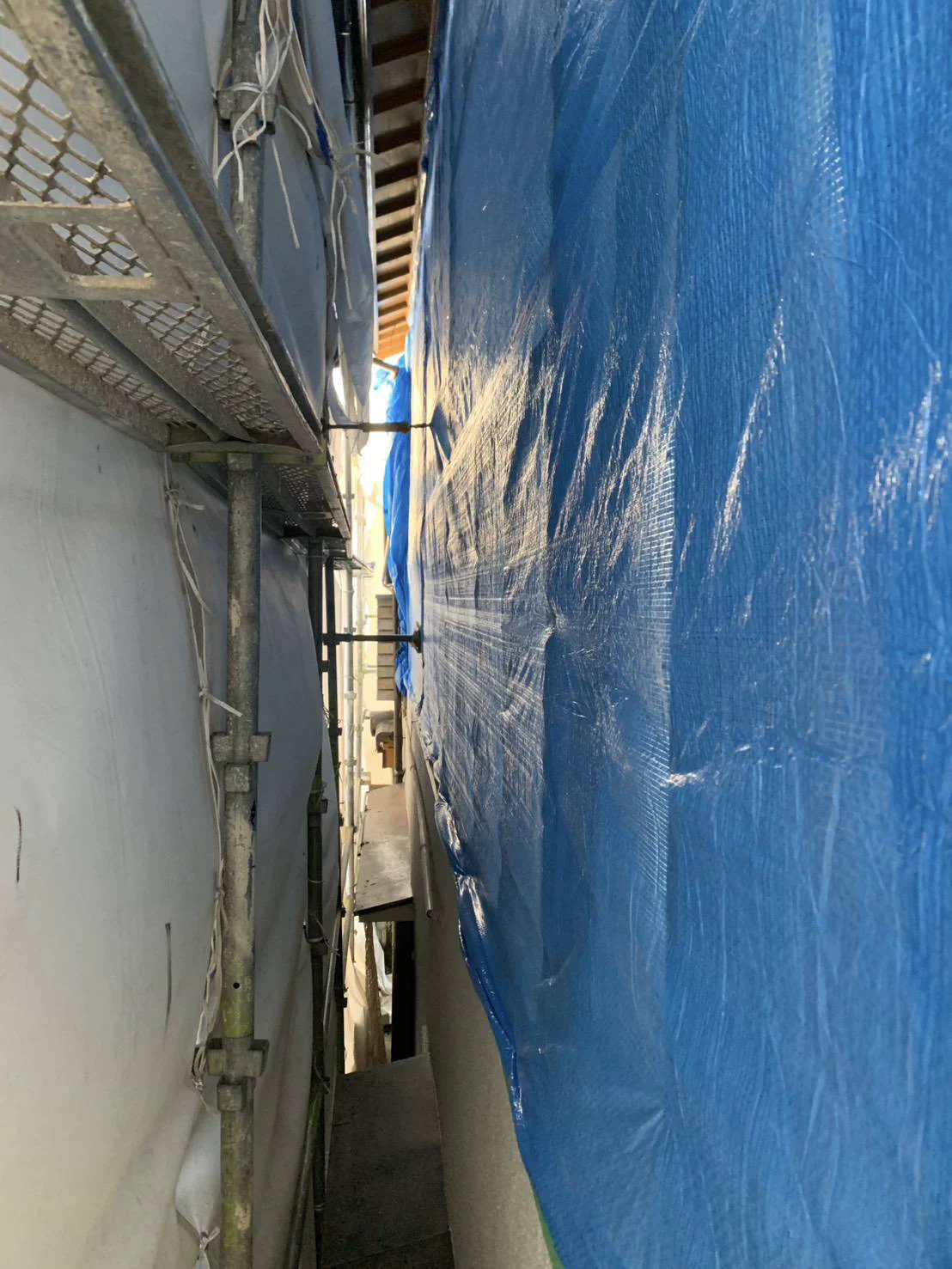 とりこわし名人